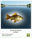 Ігор Чміль фотография #6 (источник - https://vk.com/id36749177)