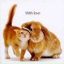 Фотография Девятиловой Кристины