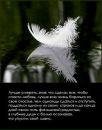 Ірина Яворська фотография #45 (источник - https://vk.com/id143432156)