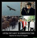 Сергей Матвийчук фотография #16 (источник - https://vk.com/id137312171)