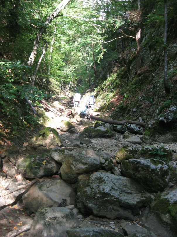 Дмитрий Вальковец фотография #19