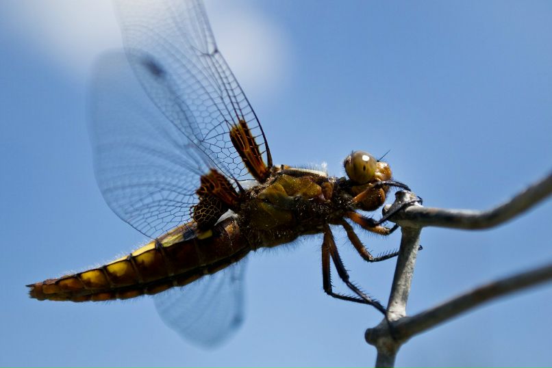 Антон Девяткин фотография #44