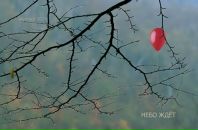 Фотография Роговой Марии