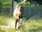 Фотография Пинаевой Ирины