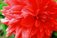 Євген Деркач фотография #41 (источник - https://vk.com/id18331073)