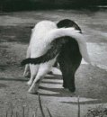 Лев Костенко фотография #4 (источник - https://vk.com/id42266)