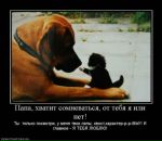 Ваня Бойківський фотография #43 (источник - https://vk.com/id99747355)