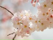 Фотография Антоновой Татьяны