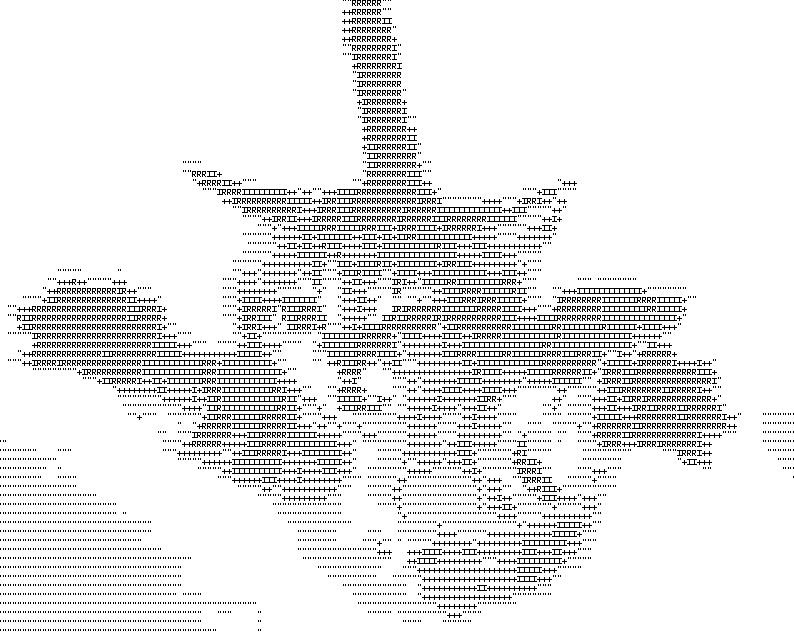 Рустам Садыков фотография #48