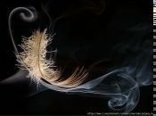 Фотография Вахрушевой Надежды