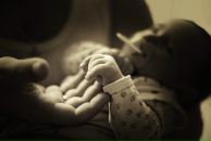 Фотография Поляков Александр