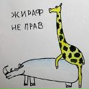 Фотография Соловьева Андрея