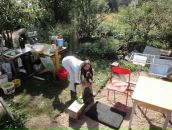 Фотография Аракчеевой Анастасии