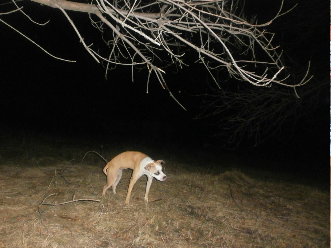 Роман Василенко фотография #43