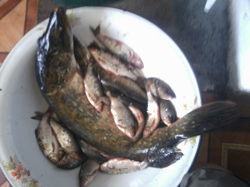 Алексей Садовников фотография #36