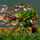 Фотография Усмановой Юлии