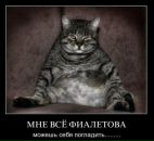 Роберт Бареев фотография #47 (источник - https://vk.com/id97035214)