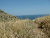 Пабло Пых фотография #49 (источник - https://vk.com/id1205765)