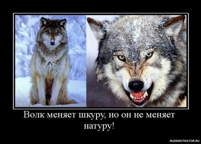 Сергей Шкляев фотография #2