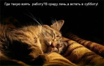 Фотография Поповкиной Дарьи