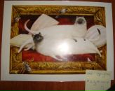 Фотография Никитиной Надежды