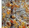 Танюша Громік фотография #45 (источник - https://vk.com/id142597014)