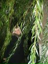 Фотография Мартыновой Кристины