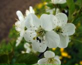 Ірина Сульжук фотография #18 (источник - https://vk.com/id10450442)