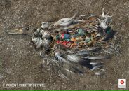 Acid Biscuit фотография #44 (источник - https://vk.com/id7494016)