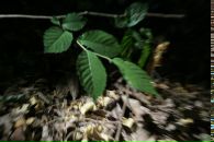 Влад Костін фотография #31 (источник - https://vk.com/id98607971)