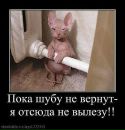 Ірина Осадча фотография #35 (источник - https://vk.com/id131600687)