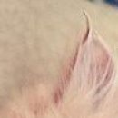 Вікторія Попадинець фотография #36 (источник - https://vk.com/id141806600)