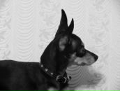 Фотография Колчиной Ирины