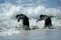 Фотография Крыловой Марины