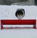 Фотография Аксёновой Татьяны