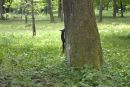 Януська Олійник фотография #39 (источник - https://vk.com/id52610288)
