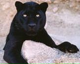 Фотография Иванова Антошки