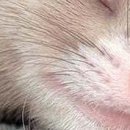 Вітя Лайщук фотография #22 (источник - https://vk.com/id134923699)