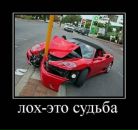 Анатолій Зингель фотография #12 (источник - https://vk.com/id103894529)