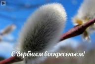 Фотография Клементьевой Светланы