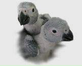 Фотография Самойленко Ольги