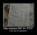 Павел Синицын фотография #25 (источник - https://vk.com/id94428082)