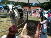 Kolya Nick фотография #1