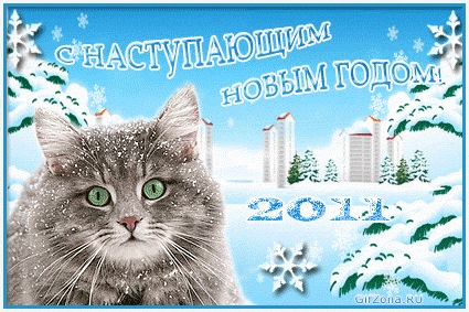 №9, Диана Мукова, 37 лет, Москва №9, Диана Мукова, 37 лет, Москва