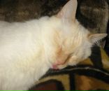 Фотография Чубариной Юлии