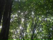 Віталій Панасюк фотография #34 (источник - https://vk.com/id67183575)