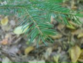 Віталій Панасюк фотография #39 (источник - https://vk.com/id67183575)