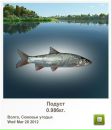 Сергій Стахів фотография #46 (источник - https://vk.com/id137486060)