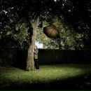 Фотография Зуев Алексей