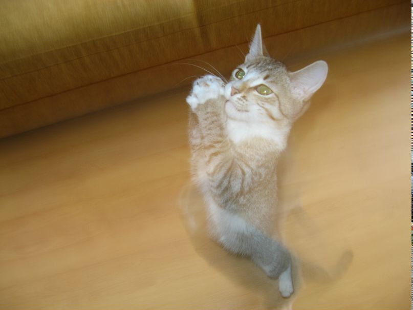 Игорь Синитенков фотография #10